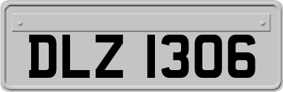 DLZ1306
