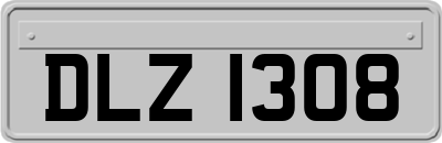 DLZ1308
