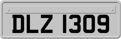 DLZ1309