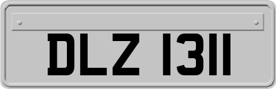 DLZ1311