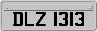 DLZ1313