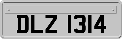 DLZ1314