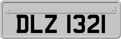 DLZ1321
