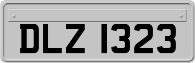 DLZ1323