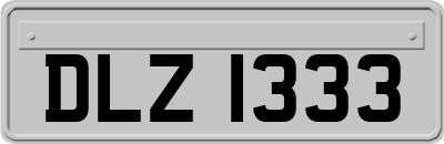 DLZ1333