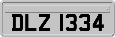 DLZ1334