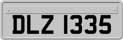 DLZ1335