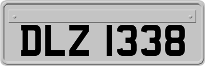 DLZ1338
