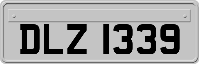 DLZ1339