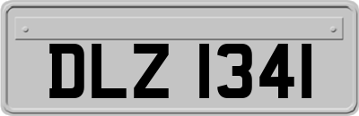 DLZ1341