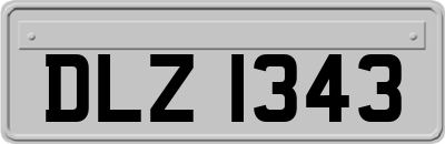 DLZ1343