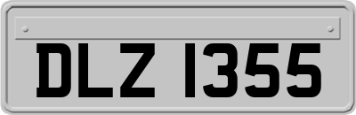 DLZ1355
