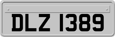 DLZ1389