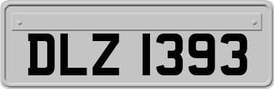 DLZ1393