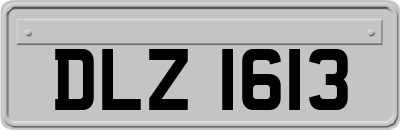 DLZ1613