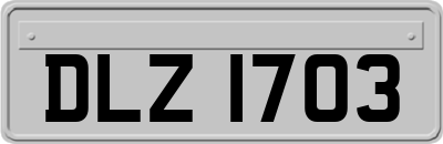 DLZ1703