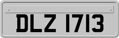 DLZ1713