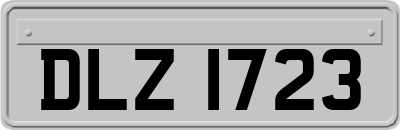 DLZ1723