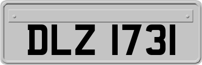 DLZ1731