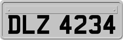DLZ4234