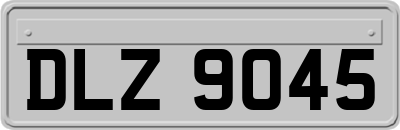 DLZ9045