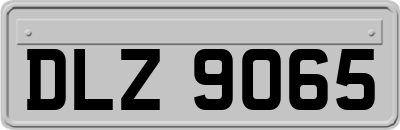 DLZ9065