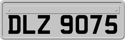 DLZ9075