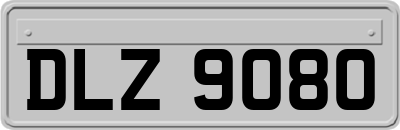 DLZ9080