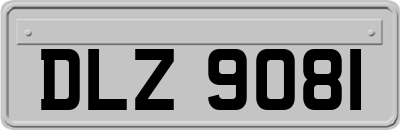 DLZ9081
