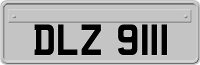 DLZ9111