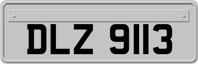 DLZ9113