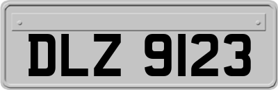 DLZ9123