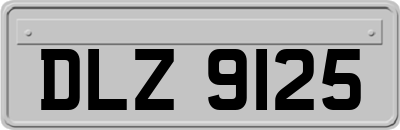DLZ9125