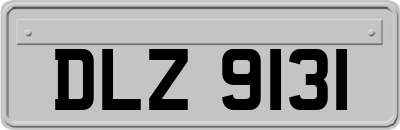 DLZ9131