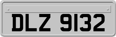 DLZ9132