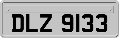 DLZ9133