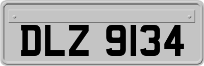 DLZ9134