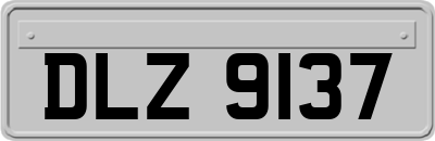 DLZ9137