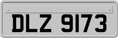 DLZ9173