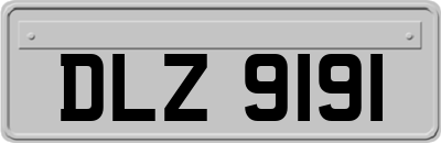 DLZ9191
