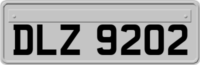 DLZ9202