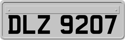 DLZ9207