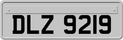 DLZ9219