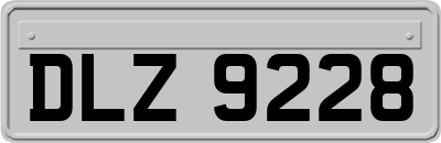 DLZ9228