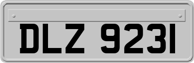 DLZ9231
