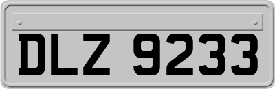 DLZ9233