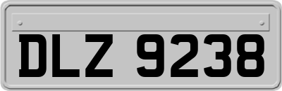 DLZ9238
