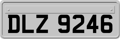 DLZ9246