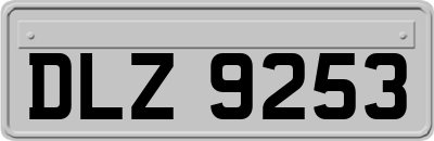 DLZ9253