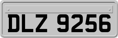 DLZ9256